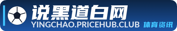 说黑道白网