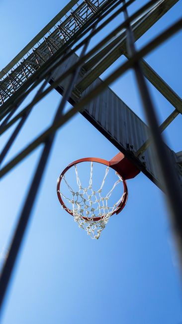 女子排名:申珍妮夺冠升至36位 王培红闯入前500